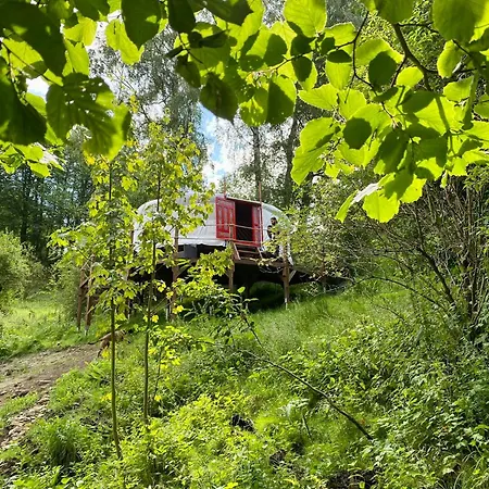 Krondorf And Jurta *